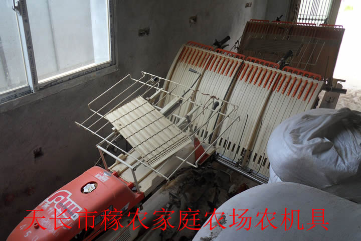 农场实景